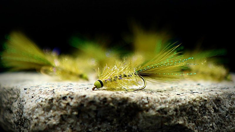 How to Fly Fish a Woolly Bugger Fly